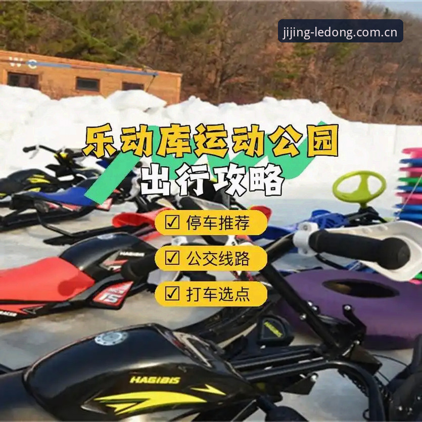 乐动体育使用教程常见问题 乐动体育使用教程常见问题完整指南:从下载到高手进阶